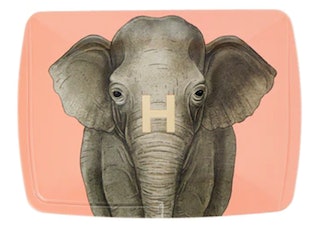 Hourglass Ambient Lighting Edit Unlocked Palette – Elephant